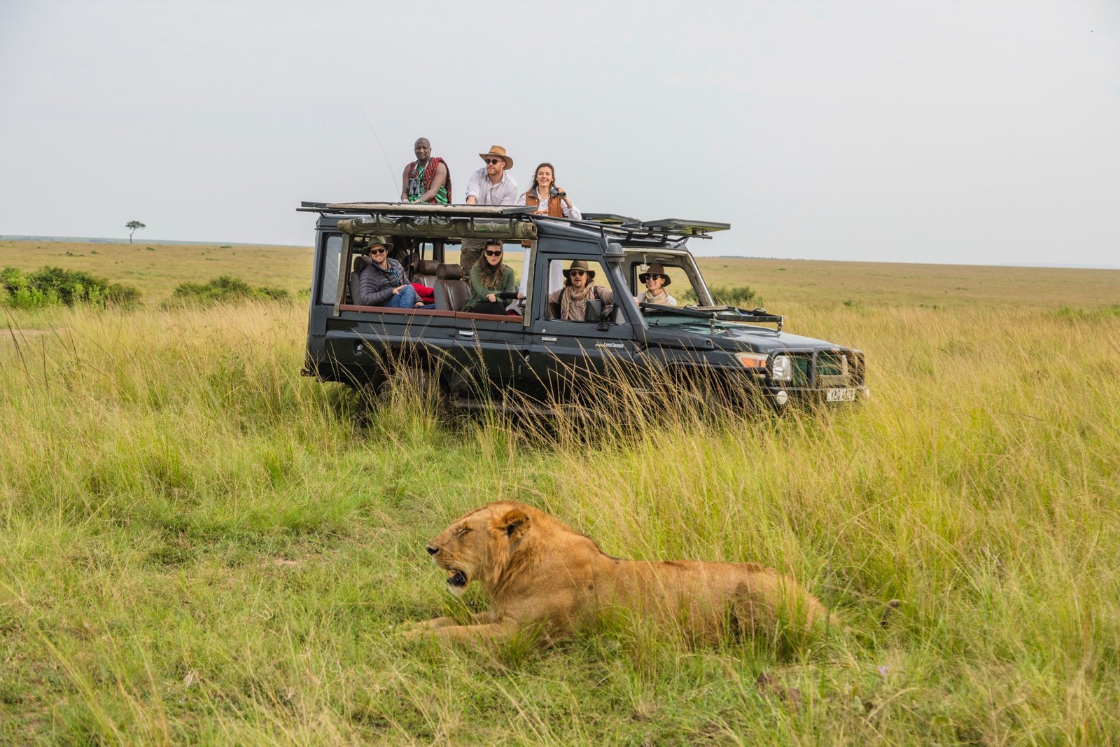 Game Drives